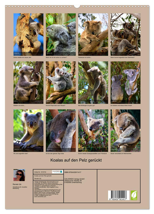 Koalas auf den Pelz gerückt (CALVENDO Wandkalender 2025)