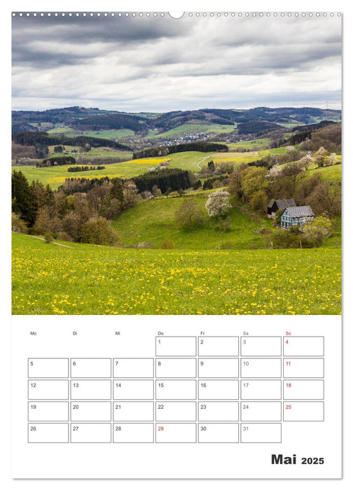 Wittgenstein – Eine Region mit beeindruckend schöner Landschaft (CALVENDO Wandkalender 2025)