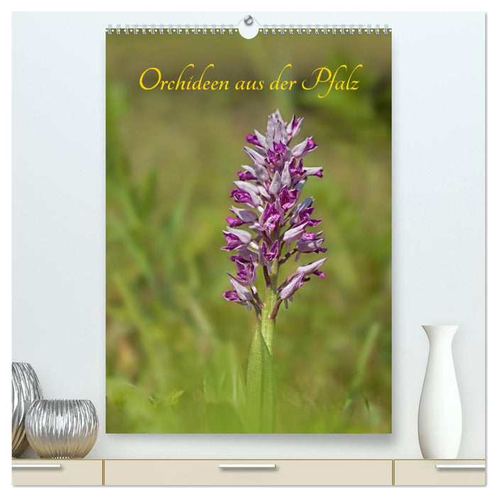 Orchideen aus der Pfalz (CALVENDO Premium Wandkalender 2025)