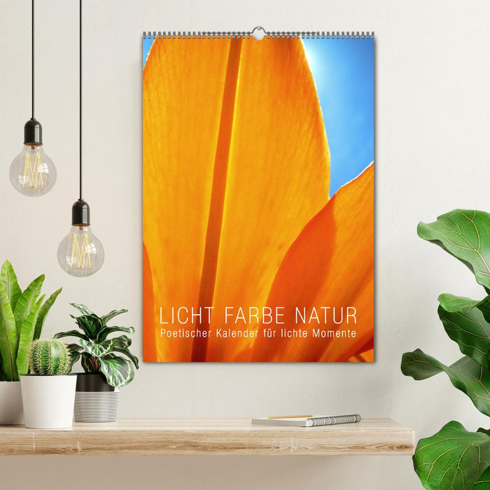 Licht Farbe Natur (CALVENDO Wandkalender 2025)