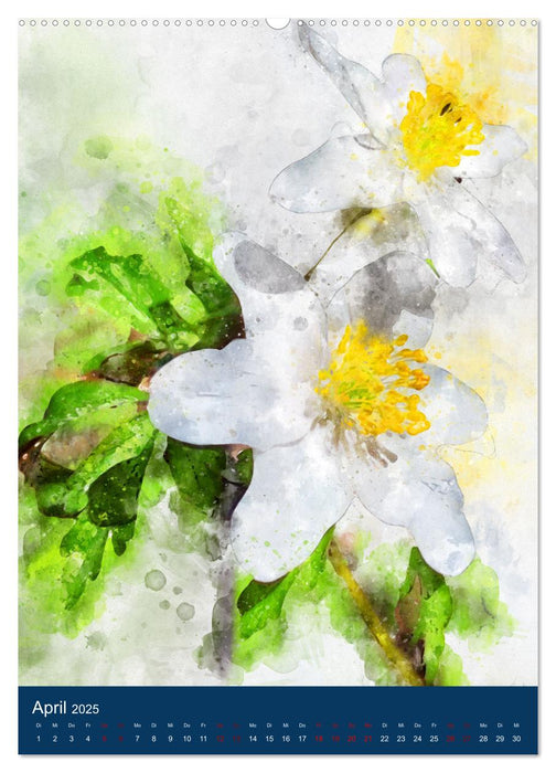 Wilde Blumen - Illustrierter Blütenzauber der Pflanzenwelt (CALVENDO Premium Wandkalender 2025)