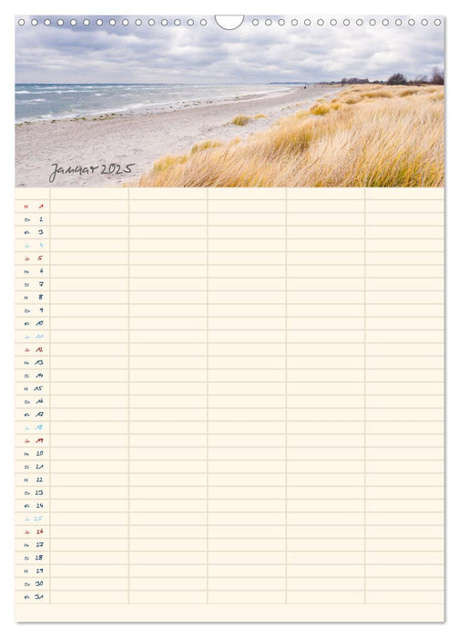 Mit Blick auf's Meer (CALVENDO Wandkalender 2025)