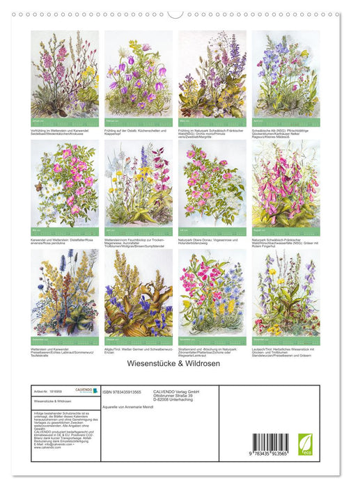 Wiesenstücke & Wildrosen (CALVENDO Wandkalender 2025)