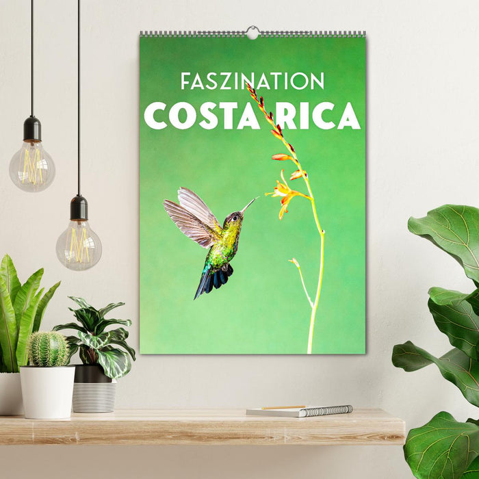 Faszination Costa Rica (CALVENDO Wandkalender 2025)