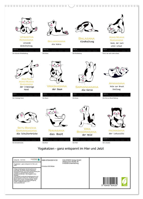Yogakatzen - ganz entspannt im Hier und Jetzt (CALVENDO Wandkalender 2025)