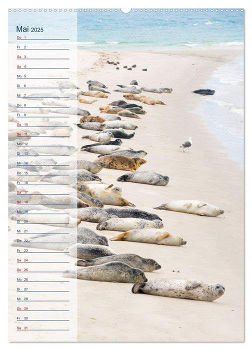 Maritim - Geburtstagskalender (CALVENDO Premium Wandkalender 2025)