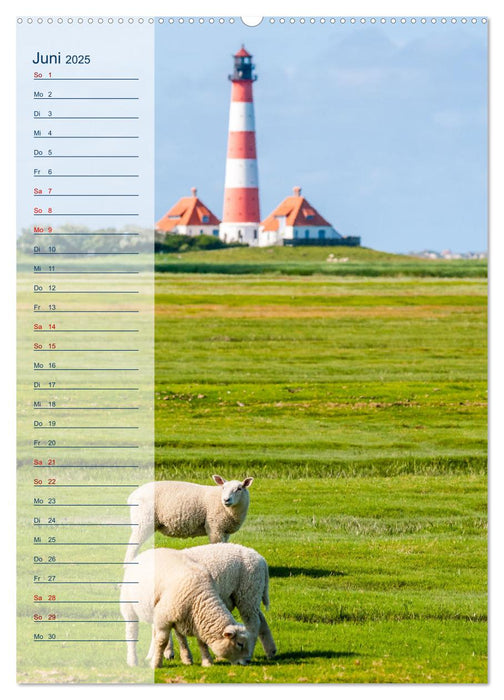 Maritim - Geburtstagskalender (CALVENDO Premium Wandkalender 2025)