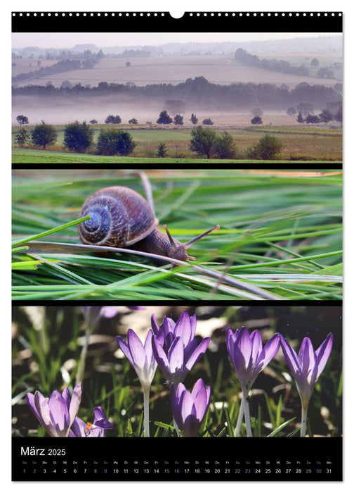 Bezaubernde Farben der Natur (CALVENDO Wandkalender 2025)