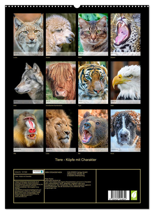 Tiere - Köpfe mit Charakter (CALVENDO Premium Wandkalender 2025)