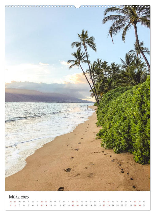 Trauminsel Hawaii (CALVENDO Wandkalender 2025)