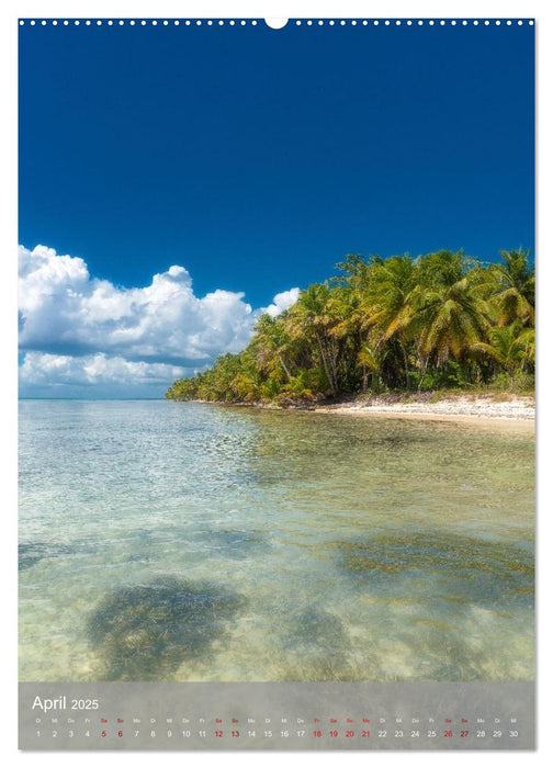 Karibischer Traum Isla Saona (CALVENDO Wandkalender 2025)