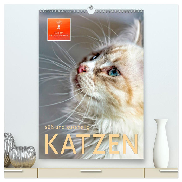 Katzen - süß und kuschelig (CALVENDO Premium Wandkalender 2025)