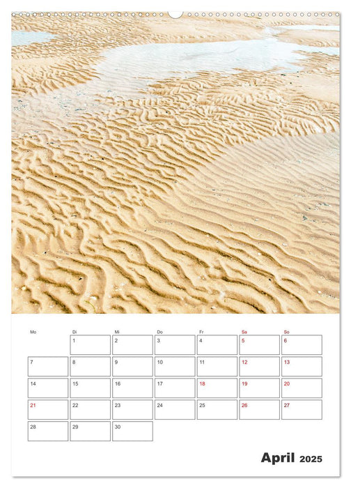 Insel Föhr - Urlaubsplaner (CALVENDO Wandkalender 2025)