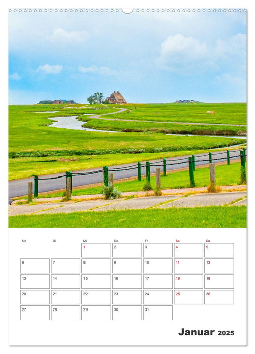 Hallig Hooge - Reiseplaner (CALVENDO Wandkalender 2025)