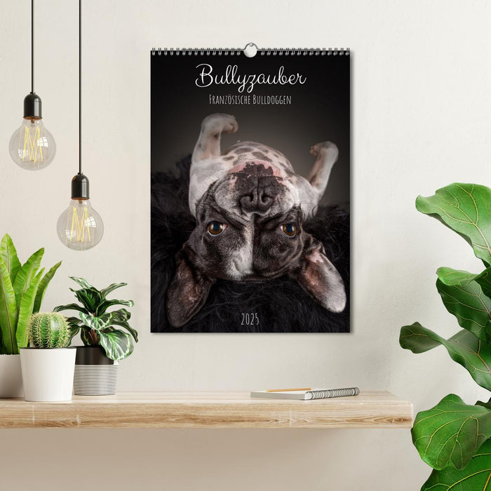 Bullyzauber - Französische Bulldoggen (CALVENDO Wandkalender 2025)