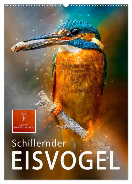 Schillernder Eisvogel (CALVENDO Wandkalender 2025)