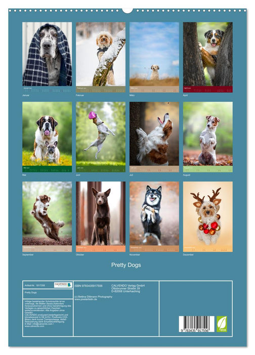 Pretty Dogs (CALVENDO Premium Wandkalender 2025)