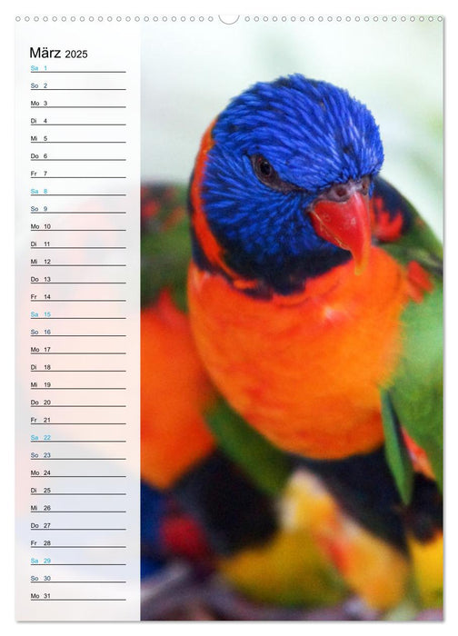 Australien mit Planer (CALVENDO Premium Wandkalender 2025)