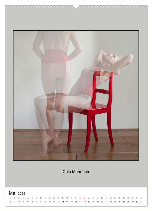 Der Stuhl und andere Geschichten. (CALVENDO Premium Wandkalender 2025)