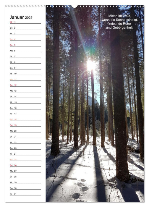 Poesieflügel im Wald (CALVENDO Premium Wandkalender 2025)