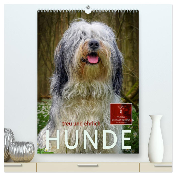 Hunde - treu und ehrlich (CALVENDO Premium Wandkalender 2025)