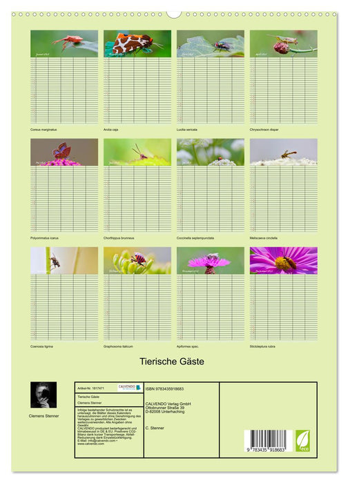 Tierische Gäste (CALVENDO Premium Wandkalender 2025)