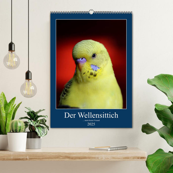 Der Wellensittich - mein bester Freund (CALVENDO Wandkalender 2025)