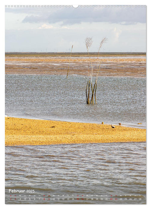 Nordfriesland, Zwischen St. Peter Ording und Sylt (CALVENDO Premium Wandkalender 2025)