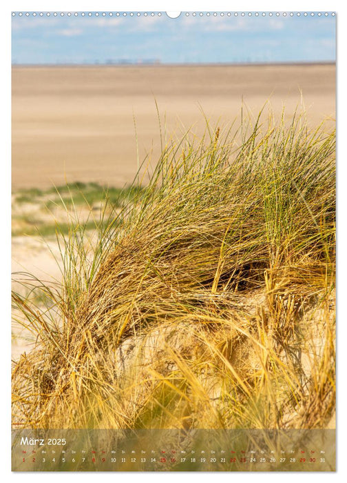 Nordfriesland, Zwischen St. Peter Ording und Sylt (CALVENDO Premium Wandkalender 2025)