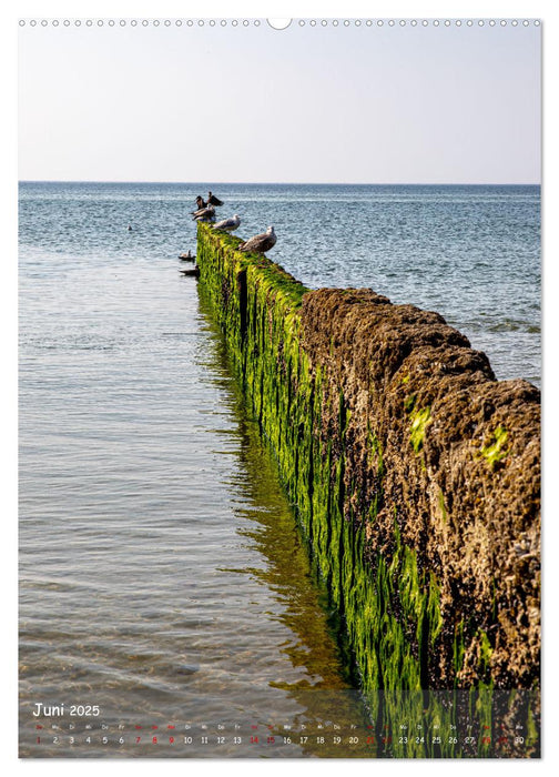 Nordfriesland, Zwischen St. Peter Ording und Sylt (CALVENDO Premium Wandkalender 2025)