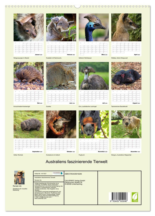 Australiens faszinierende Tierwelt (CALVENDO Premium Wandkalender 2025)