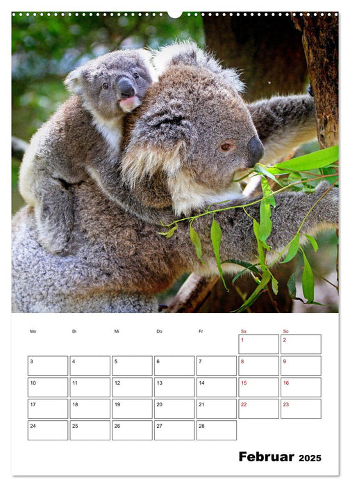 Australiens faszinierende Tierwelt (CALVENDO Premium Wandkalender 2025)