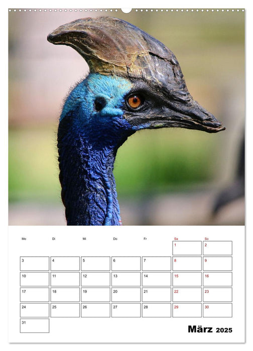 Australiens faszinierende Tierwelt (CALVENDO Premium Wandkalender 2025)