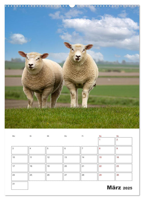 Sankt Peter-Ording Sonne, Strand und Meer (CALVENDO Wandkalender 2025)