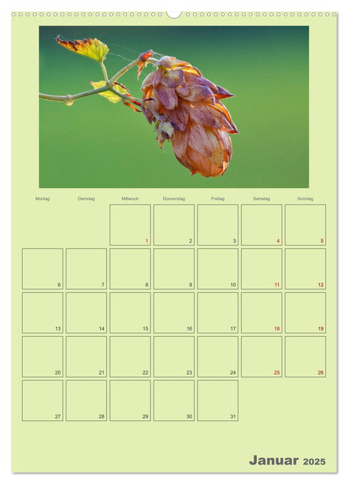 Wildsaatplaner - Zauber der Wildfrüchte (CALVENDO Premium Wandkalender 2025)