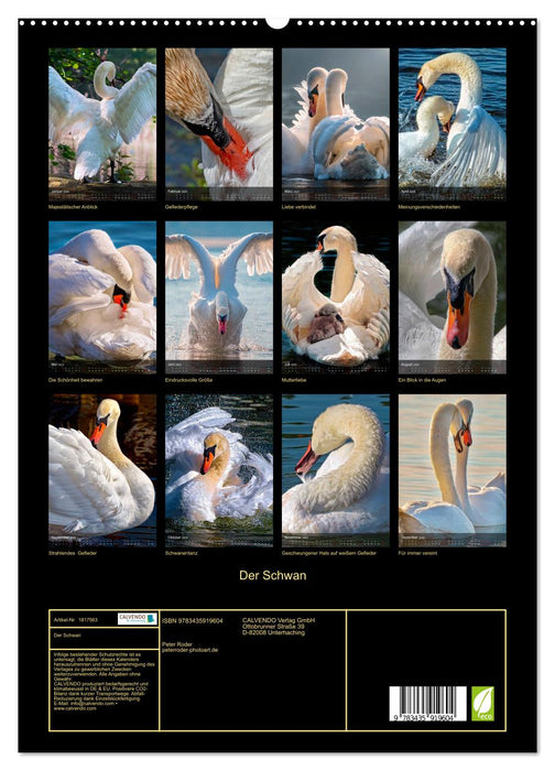 Der Schwan (CALVENDO Premium Wandkalender 2025)