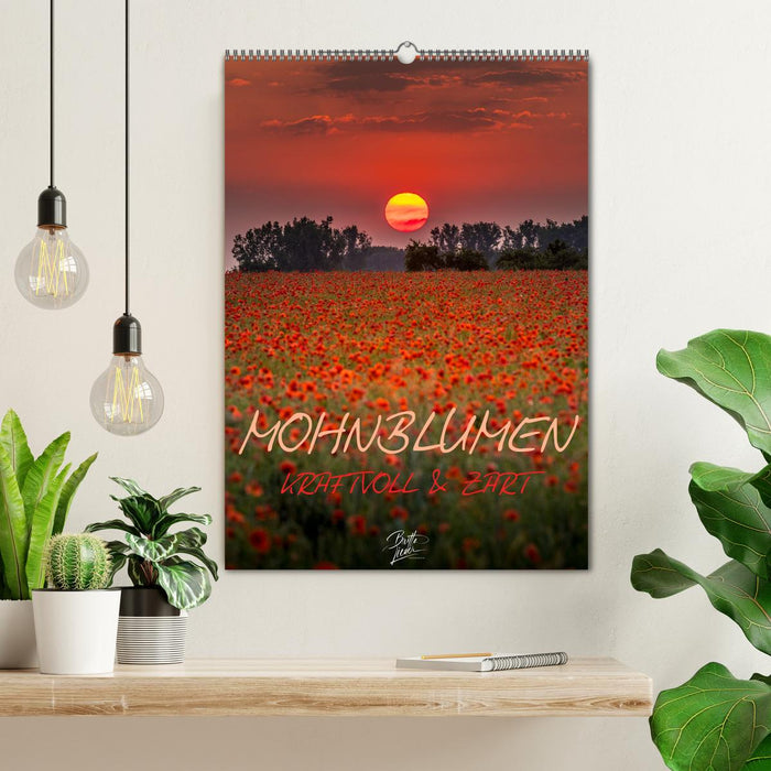 Mohnblumen - kraftvoll und zart (CALVENDO Wandkalender 2025)