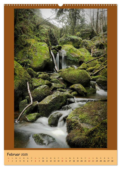 Schwarzwald Wasserfälle (CALVENDO Wandkalender 2025)