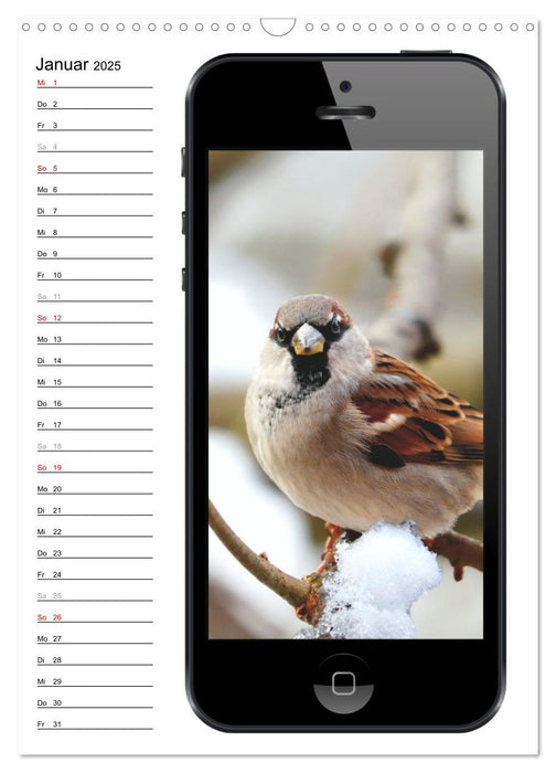 Die Vogel-Welt im Selfie-Fieber (CALVENDO Wandkalender 2025)