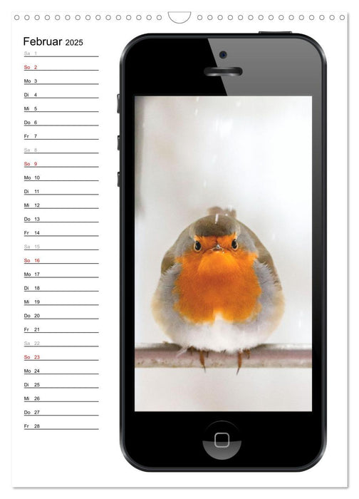 Die Vogel-Welt im Selfie-Fieber (CALVENDO Wandkalender 2025)