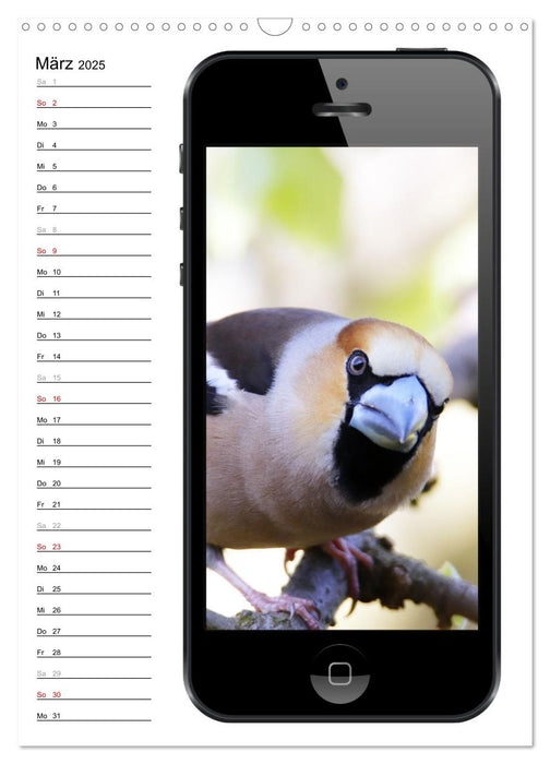 Die Vogel-Welt im Selfie-Fieber (CALVENDO Wandkalender 2025)