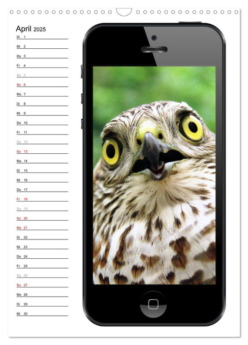 Die Vogel-Welt im Selfie-Fieber (CALVENDO Wandkalender 2025)