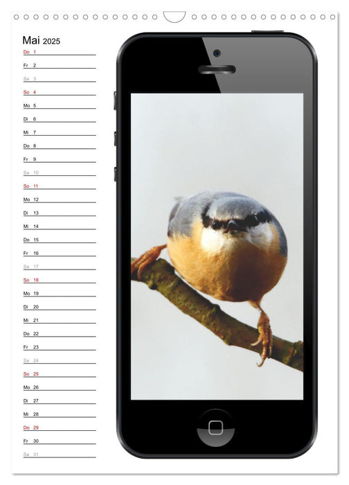 Die Vogel-Welt im Selfie-Fieber (CALVENDO Wandkalender 2025)