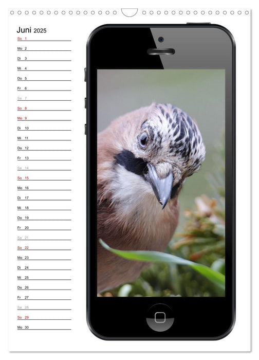 Die Vogel-Welt im Selfie-Fieber (CALVENDO Wandkalender 2025)