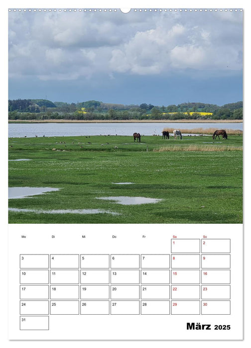 Kappeln und Umgebung im Frühling (CALVENDO Wandkalender 2025)