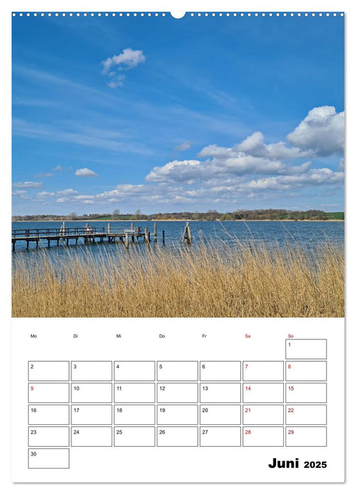 Kappeln und Umgebung im Frühling (CALVENDO Wandkalender 2025)