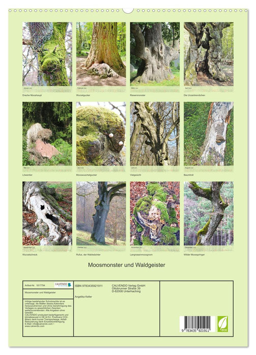 Moosmonster und Waldgeister (CALVENDO Wandkalender 2025)