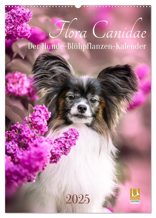 Flora Canidae - der Hunde-Blühpflanzen-Kalender (CALVENDO Wandkalender 2025)