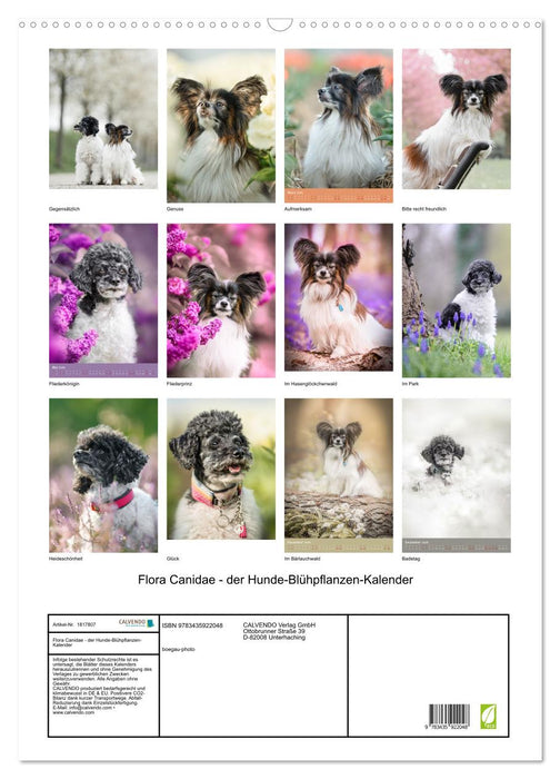 Flora Canidae - der Hunde-Blühpflanzen-Kalender (CALVENDO Wandkalender 2025)
