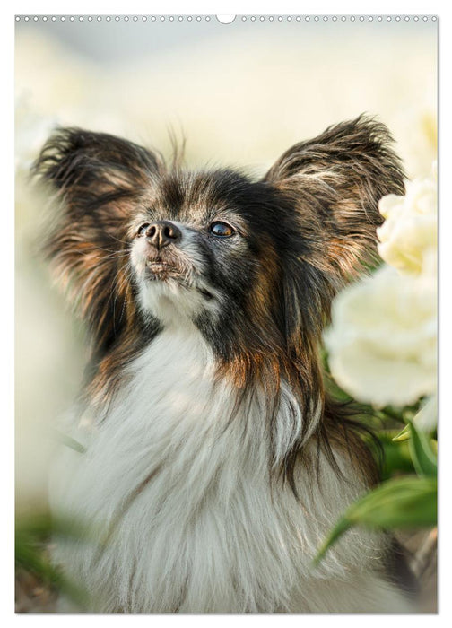 Flora Canidae - der Hunde-Blühpflanzen-Kalender (CALVENDO Wandkalender 2025)